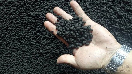 年产20万吨鸡粪有机肥利用价值与有机肥生产线