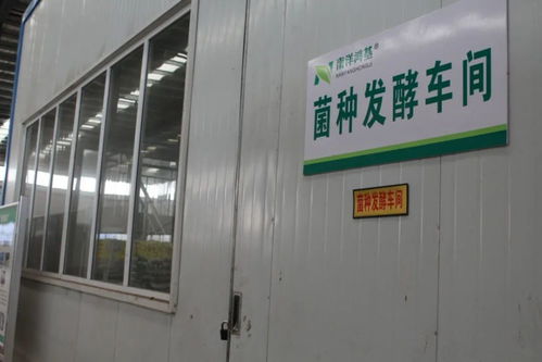 建个有机肥厂花了好几亿元 山东这家企业玩得挺大