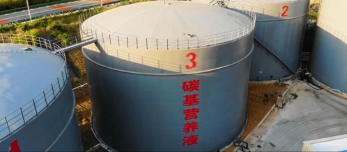 阳江种植户请点开领福利啦