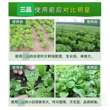 【生产有机肥生物有机肥质量可靠值得信赖厂家价格优惠】-