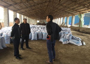 朱德新副局长查看安乡有机肥厂建设工作
